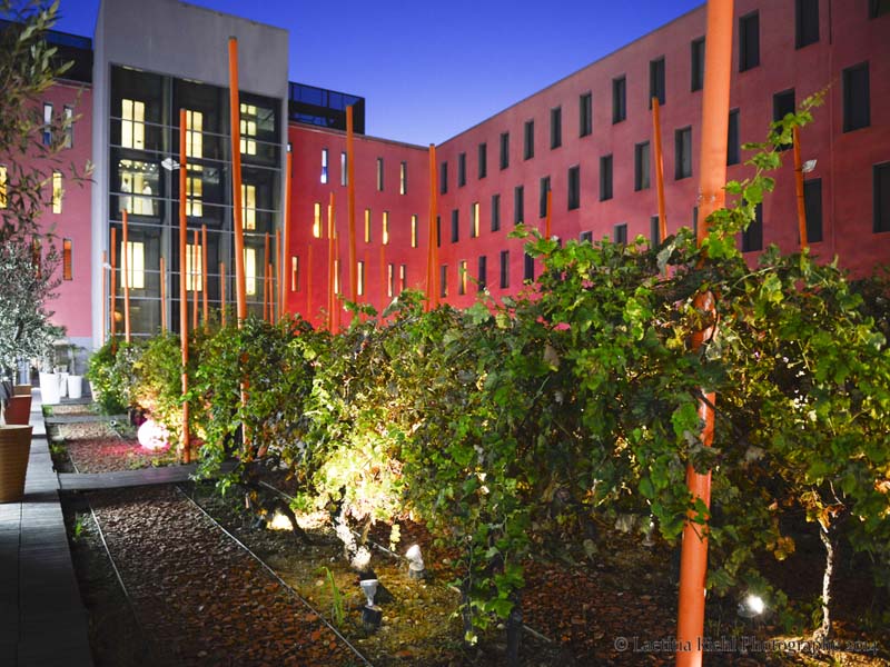 Radisson Blu Hôtel, Toulouse Airport_31700 BLAGNAC_22